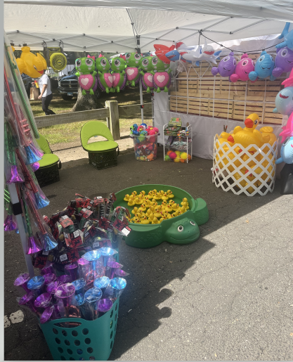 Play Til You Win at the Duck Pond Game